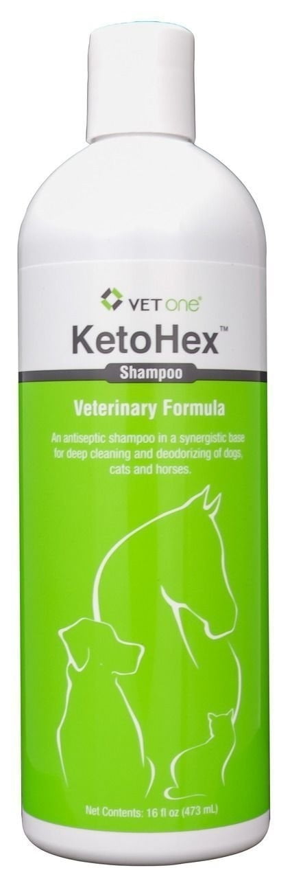 antifungal dog shampoo walmart antifungal dog shampoo walmart